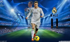 C罗沙特主权财富基金（沙特主权基金pif）